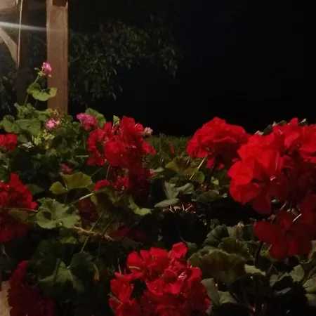 Rum i privatbostad Goscinne Gazda Polanica-Zdrój