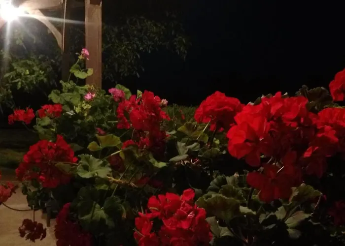 Privatunterkunft Goscinne Gazda Bad Altheide